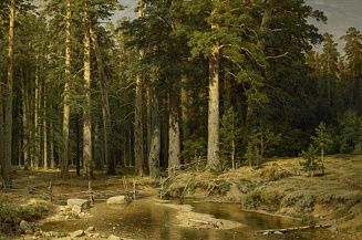 В Русском музее откроется масштабная выставка «Иван Шишкин. Русский лес»